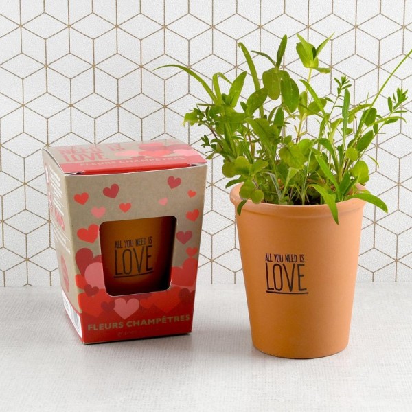 Kit message All you need is love