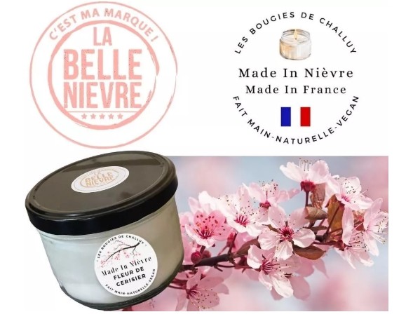 Fleur de cerisier