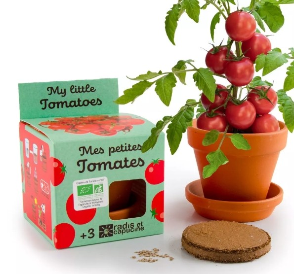 Mes petites tomates