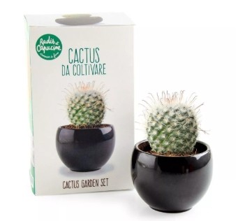 Kit Cactus