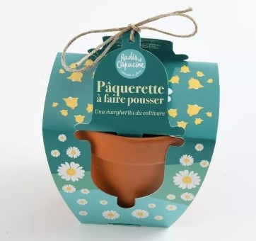 Paquerettes