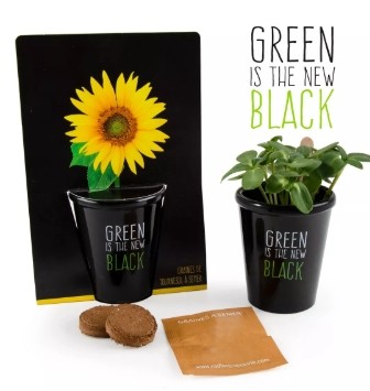 Pot Black Tournesol