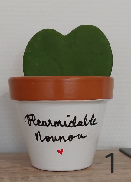 Hoya et pot Nounou