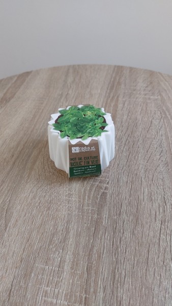 Pot origami Basilicfin vert