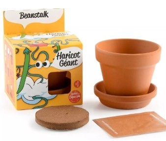 Haricot géant