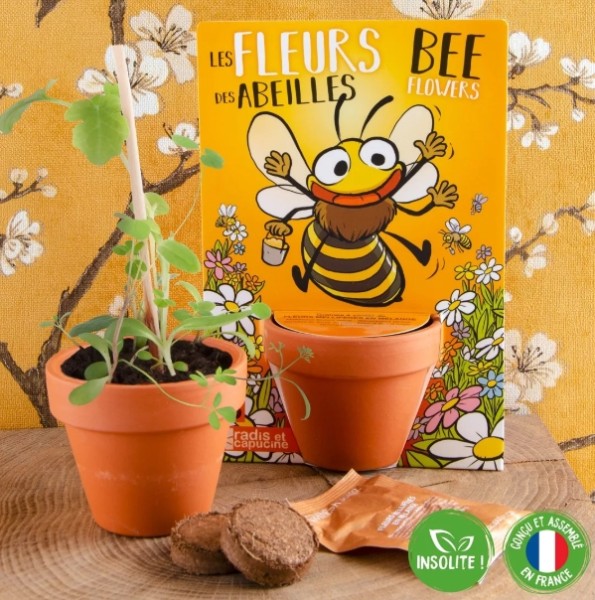 Fleurs des Abeilles
