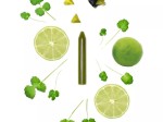 Crayon d'assaisonnement Coriande & citron vert