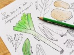 Cahier de coloriage - En cuisine