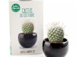 Kit Cactus