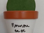Hoya et pot Nounou