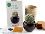 Kit Cactus