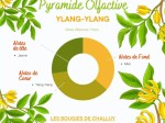 Ylang Ylang