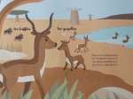 Livre à toucher - Les animaux de la savane