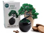 Kit Bonsaï Pin Parasol